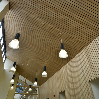 CPD for Hunter Douglas wood ceilings
